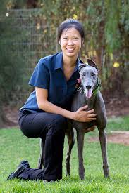 Has been established for nearly 30 years. Our Veterinarians Stephen Terrace Veterinary Clinic