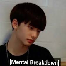 Stickerwa korean idol wa sticker kpop for whatsapp works on any android devices (requires android 4.1 or later). Stray Kids Memes Sticker Pack Stickers Cloud