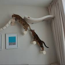 Cosy And Dozy On Instagram Kinda Traffic Jam On The Way On Top Helena Thank You So Much For Sharing In 2020 Pet Furniture Cat Playground Designer Pet Furniture