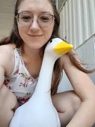 Introduction of a new pet goose