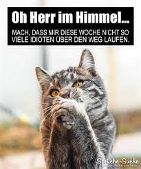 Die kunst ist, einmal mehr aufzustehen, als. Zitate Uber Den Wochenstart 50 Great Bilder Spruche Guten Start In Die Neue Woche Trust Yourself And Timing Of Your Life
