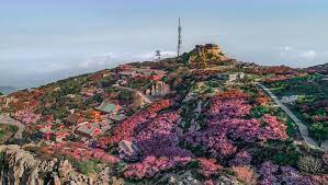 Mount tai or taishan (泰山), shandong, china. Mount Taishan Painted With Flowering Chinese Crabapples Cgtn