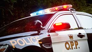 Leaving the scene of an accident single car ontario. Woman Fatally Struck By Vehicle On Hwy 407 Citynews Toronto