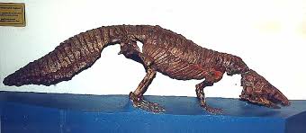 Jump to navigation jump to search. Introduction To The Aetosauria