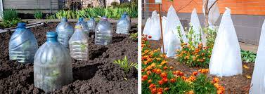 How to cover your garden for frost. Protect Your Plants This Winter Summerwinds Ca