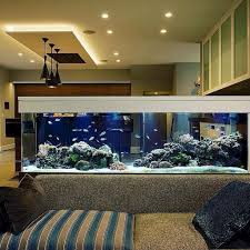 The best fish for kids fish tank? Wall Mounted Fish Tank And Aquarium Elonahome Com