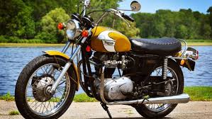 Image result for Honeysuckle 1972 Triumph