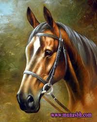 صور خيول وكانها في لوحات حقيقية Horses Horse Painting Horse Drawings