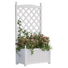 Check spelling or type a new query. Pin On Backyard
