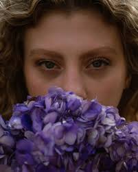 All About Greenville!