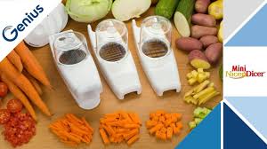 Nicer dicer plus, set of 18 pieces contains: Genius Mini Nicer Dicer Youtube