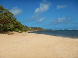 As she said best shell beach on the island. Larsen S Beach Black S Beach Etiquette