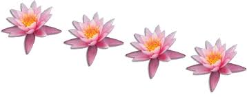 R�sultat de recherche d'images pour 