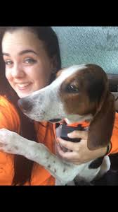 It's been a full week since we last seen beloved Royce and we are missing  his presence so much. I honestly think someone has him. Today his brother  Bentley I walked a