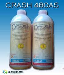 Crash 480 As