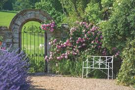 Renowned for their beautiful, often many petalled, repeat flowering blooms and enticing, rich fragrances there are now over 200 rose varieties bred by david austin, each one making a fantastic contribution to any garden. David Austin Roses Rooted In Tradition Flower Magazine