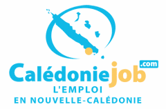 Vous bénéficiez de différentes formules pour une publication d'offres d'emploi ou de formation: Emploi Et Formation Outre Mer Dom Tom Job