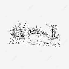Kelinci kalau sudah marah, simple aja… layar smartphone mu bisa dipecahin tuh sama giginya… 26. Plant Pots In The Garden Plant Pots Garden Png And Vector With Transparent Background For Free Download