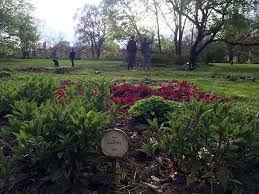 Essbarer Palmengarten Ein Offener Gemuse Garten In Leipzig Leipzig Palmengarten Welt