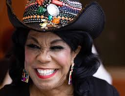 Congresswoman Frederica Wilson pitches legislation to alleviate national  property insurance crisis