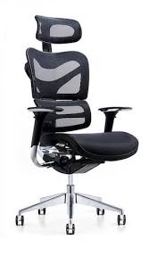Esme ergonomic fabric office chair. 5 Of The Best Office Chairs For Lower Back Pain Under 300
