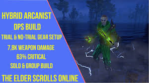 What Can I Do To Improve My Dps? : R/Elderscrollsonline