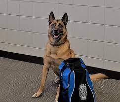 What Does Legal Marijuana Mean For Police K9s Wglt