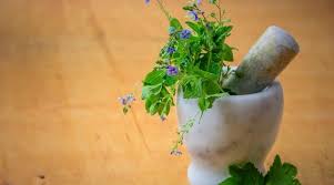 Recipes for various tinctures, salves, balms, tonics and teas. 9 Best Free Herbalism Course 2021 June Updated