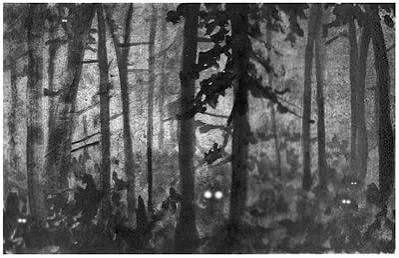 Tapestry of Light: The magic of eyeshine in the night woods | Outdoors |  vtcng.com