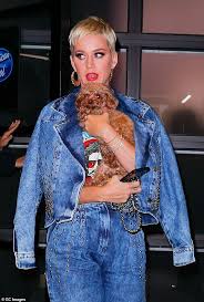 Contact katy perry on messenger. Katy Perry Says She And Her Dog Nugget Are Nearly Ready To Go Vegan And Ready To Be Open To Better Aktuelle Boulevard Nachrichten Und Fotogalerien Zu Stars Sternchen