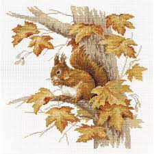 The beauty, intricacy, and delicacy of some counted cross. Buy Squirrel Panna 22 59