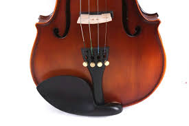 Image result for Viola eminii