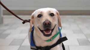 Dr. Maria Pane, Neonatologist and Vice Chief of Staff at GBMC spends each  day treating and caring for some of the tiniest patients at the #GBMC  #NICU. Please join Dr. Pane and