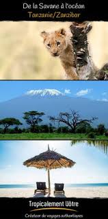 43 rue basfroi, 75011 paris. Profil De Tropicalement Votre Createur De Voyages Tropicalementvotre Pinterest