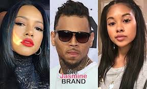 Chris Brown's New Bae Looks Like His Ex Karrueche