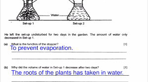 Decoding psle science p6 masterclass: Psle Science Structured Questions Youtube