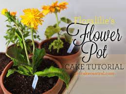 Dandelion Flower Pot Tutorial Pot Cakes Flower Pot Cake Cake Tutorial