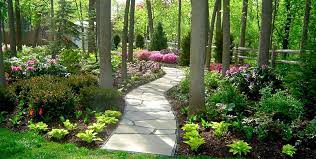 Nice Try To Awesome Your Backyard With Our 25 Woodland Garden Ideas Https Freshouz Com Try Awesome Backya Shade Landscaping Shade Garden Design Shade Garden