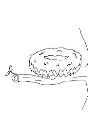 Printable hello spring pdf coloring page. Printable Bird Nest Coloring Pages