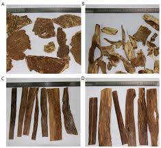 Prior to infection, the heartwood is relatively light and pale coloured, however as the infection progresses. Molecules Free Full Text Chemical Profiles Of Cultivated Agarwood Induced By Different Techniques Html