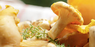 Vom eierschwammerlgulasch bis zu geröstete eierschwammerl. Eierschwammerl 5 Praktische Kuchentipps Zur Saison Blog Gourmet