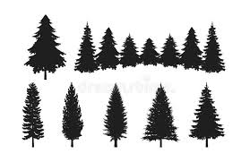 Download tree images free and use any clip art,coloring,png graphics in your website, document or presentation. Pine Tree Forest Silhouettes Collection Set Stock Vector Illustration Of Foster Green 173531418