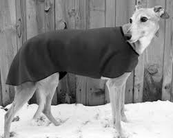 3.if you want us (get) there before dark you should let us (start) at once. Involuntary Urination Whole Dog Journal
