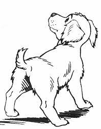 Dessin Chiot 2988 Animaux A Colorier Coloriages A Imprimer