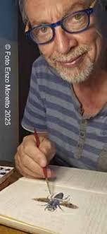 VersioneX Web Entomodena