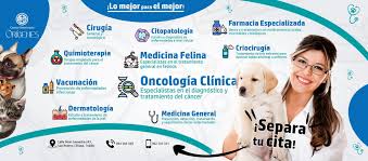 CENTRO VETERINARIO ORÍGENES