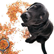 Veterinerler Ve Pet Shop Lar Mama Satmamali