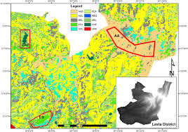 Image result for Oreophyton falcatum