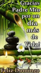 Check spelling or type a new query. Envia Imagenes De Feliz Domingo En Frases Y Mensajes Bonitos