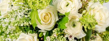We did not find results for: Birth Month Flowers Meaning Guide What S My Birth Flower Bloom